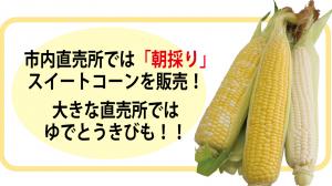 市内直売所では「朝採り」スイートコーンも販売！大きな直売所ではゆでとうきびも！！