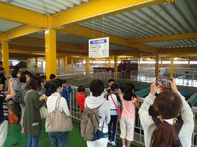 水道施設見学バスツアー