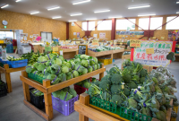 野菜の駅店内の写真