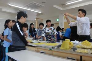 小麦追跡学習