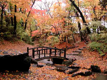 湯川公園