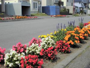 東野幌杜の台