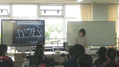 小麦の説明
