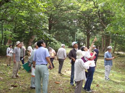 資料を解説する大原先生