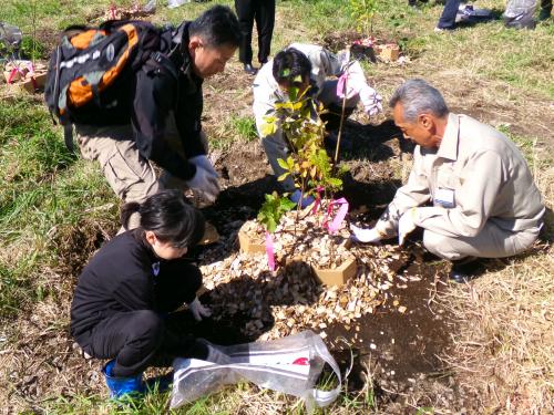 植樹の様子