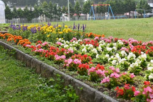 花写真２