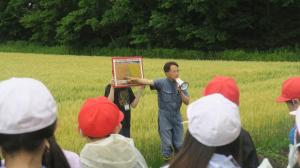 児童らが生産者から説明を受けている様子